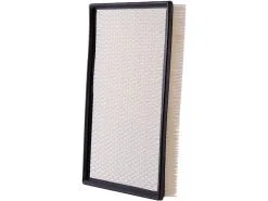 Pronto - Air Filter - 2002 - 2010 Dodge Ram 1500 - PA5462