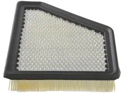 API - Air Filter - 2010 - 2017 Chevrolet Equinox - D0191-P343958